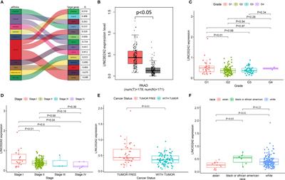 Enhancer RNA LINC00242-Induced Expression of PHF10 Drives a Better Prognosis in Pancreatic Adenocarcinoma